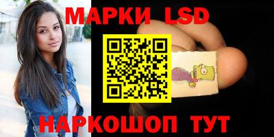 молекула духа Будённовск