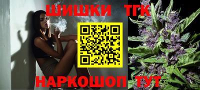 молекула духа Будённовск