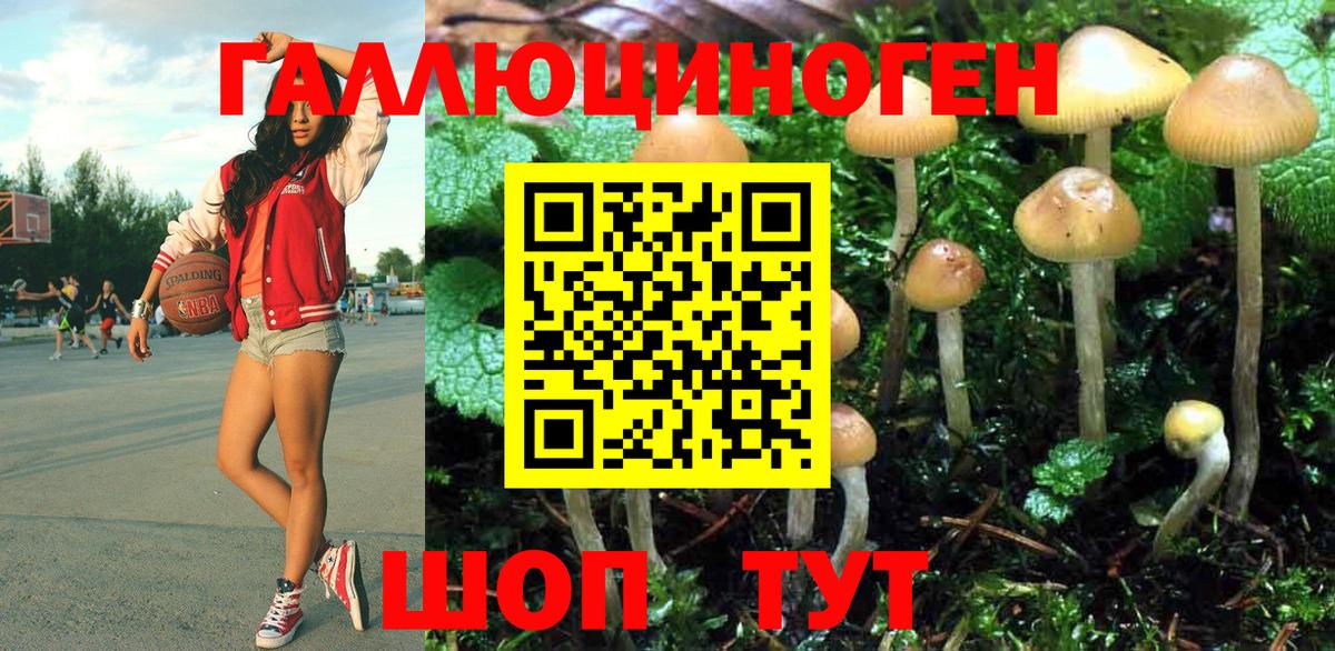 Галлюциногенные грибы мухоморы Рузаевка