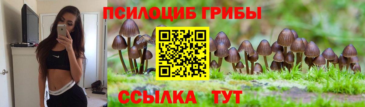 Псилоцибиновые грибы Cubensis  Вход с VPN  купить закладку  Галлюциногенные грибы MAGIC MUSHROOMS  Рузаевка 